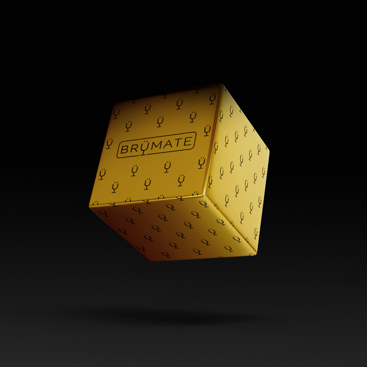 Premium Mystery Item ($39-70 Value) P0