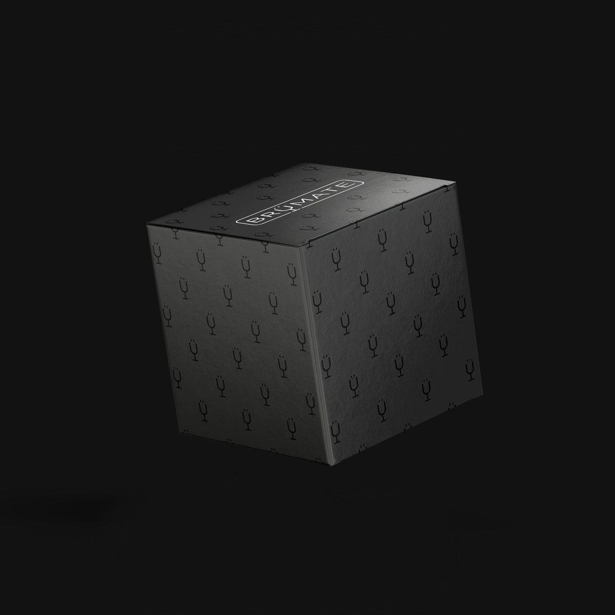 Mystery Item ($24-49 Value) T6
